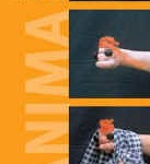 ANIMA 09 - "Vielfalt und Gegensätze" ANIMA 09 - "Vielfalt und Gegensätze"